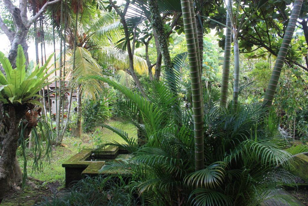 Villa Bhuana Alit Ubud  Exterior photo